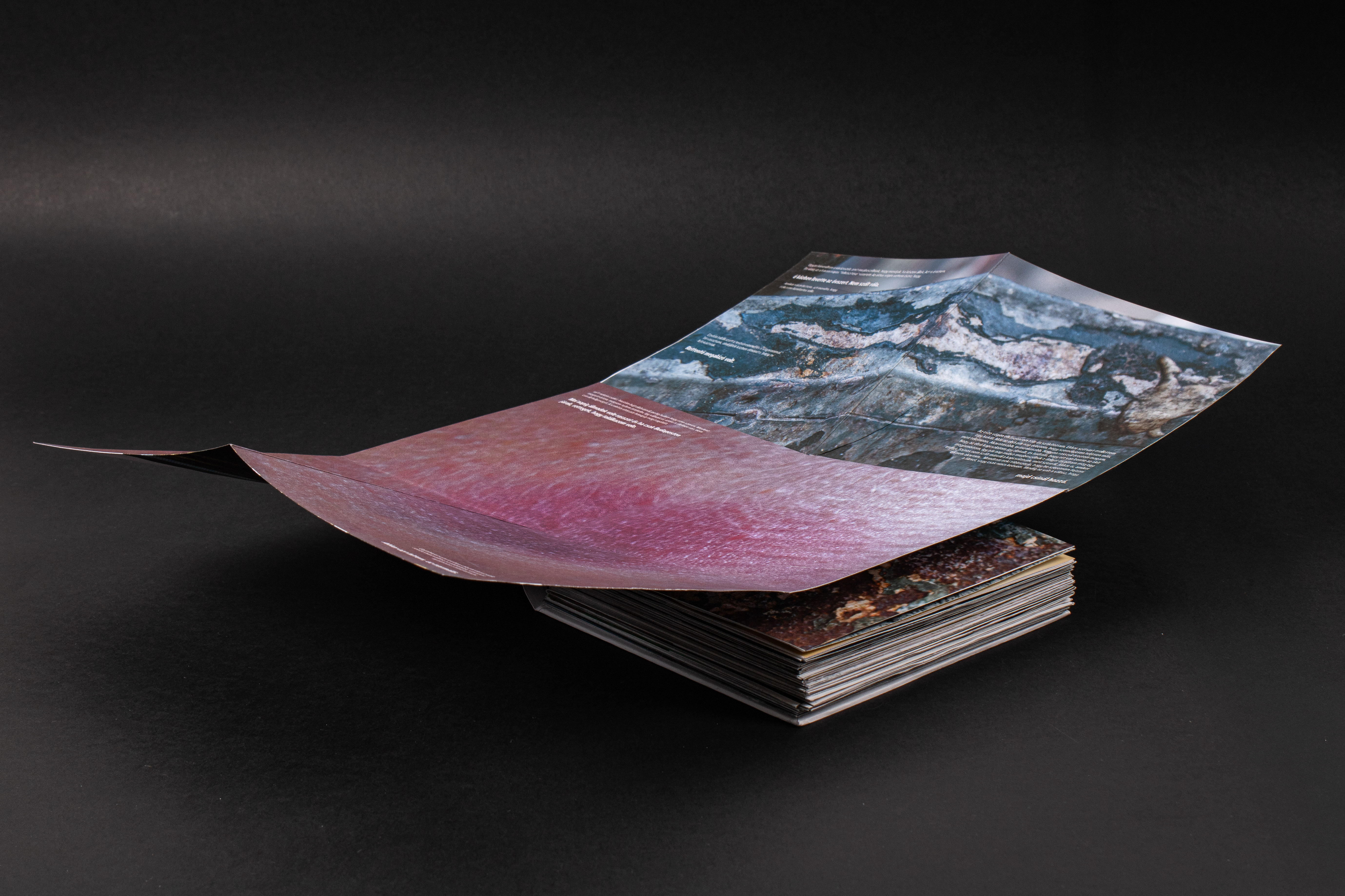 Unfolding pages in Miért a medve? (Why the bear?) photobook