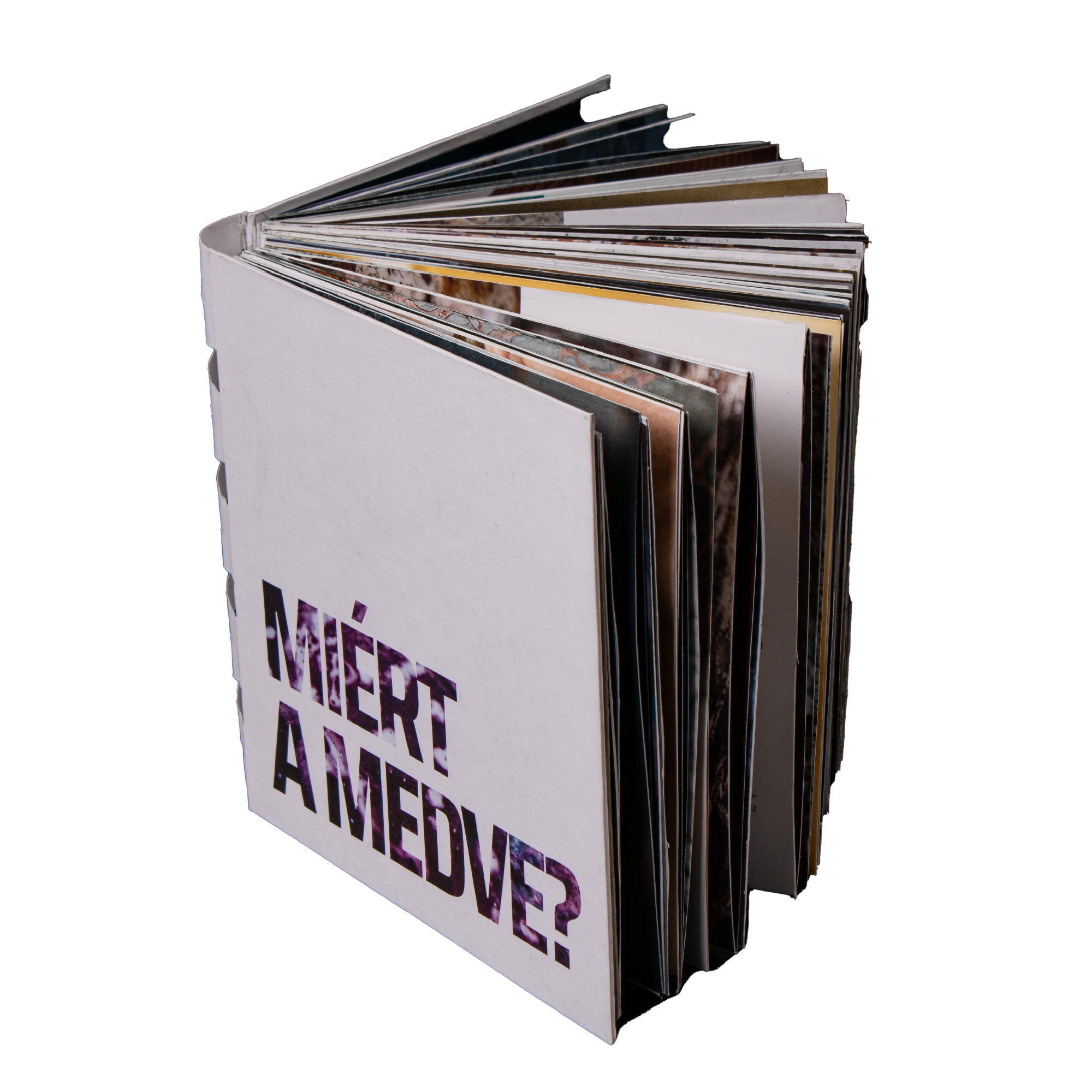 Miért a medve? / Why the bear photobook
