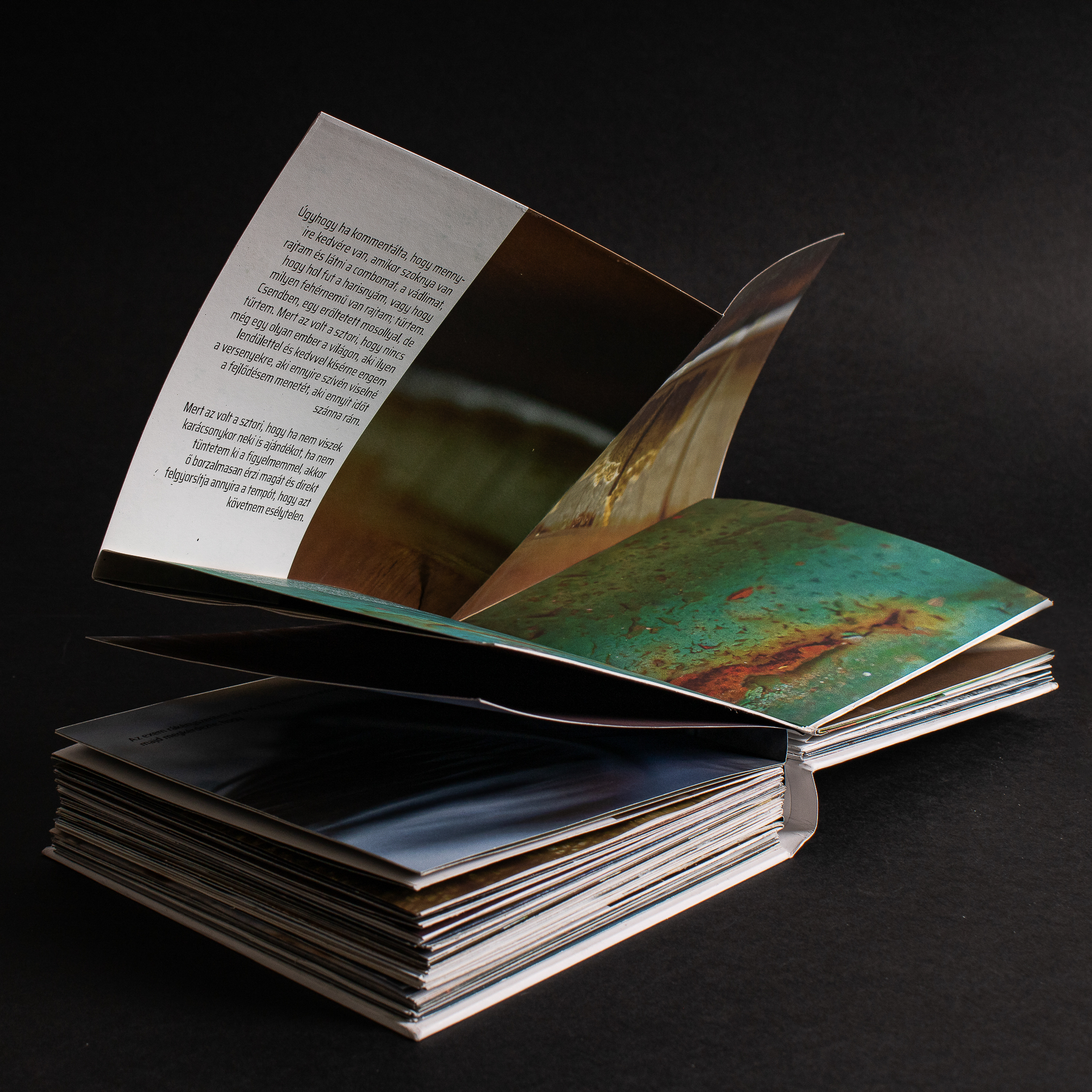 Unfolding pages in Miért a medve? Why the bear photobook